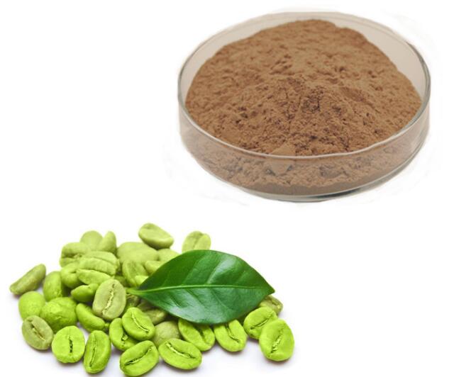 Frijol de café verde 50 ácido clorogénico