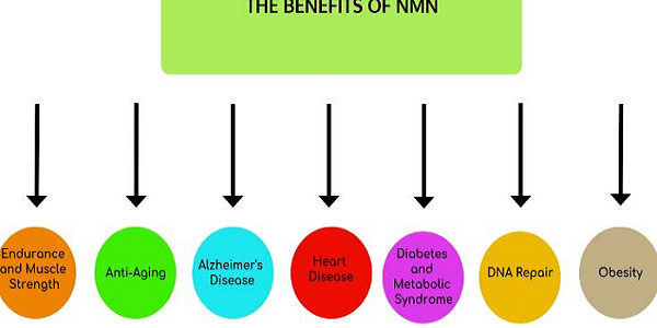 Beneficios de NMN